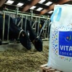 vital concept catalogue