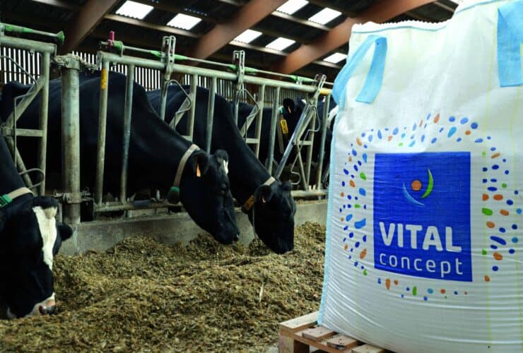 vital concept catalogue