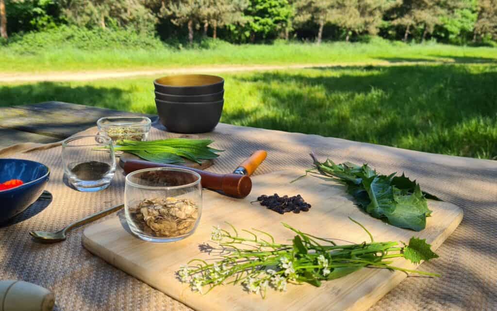 Comment intégrer des plantes dans une cuisine du quotidien sans modifier ses habitudes 2 cuisine vegetale Comment intégrer des plantes dans une cuisine du quotidien sans modifier ses habitudes