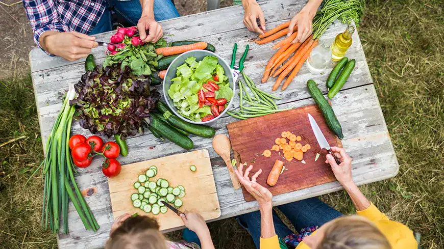 cuisine vegetale