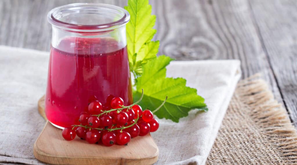 Gelée de groseille : Tout ce qu'il faut savoir pour la réussir 3 gelee de groseilles au thermomix