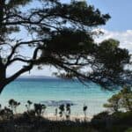 voyage Voyager Autrement : Les Nouvelles Tendances du Séjour en France