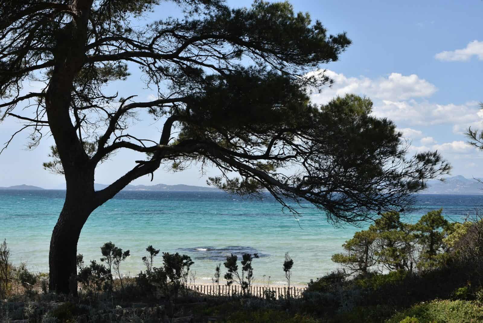 voyage Voyager Autrement : Les Nouvelles Tendances du Séjour en France