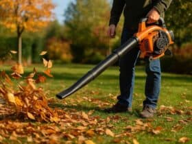 bertaus france souffleur