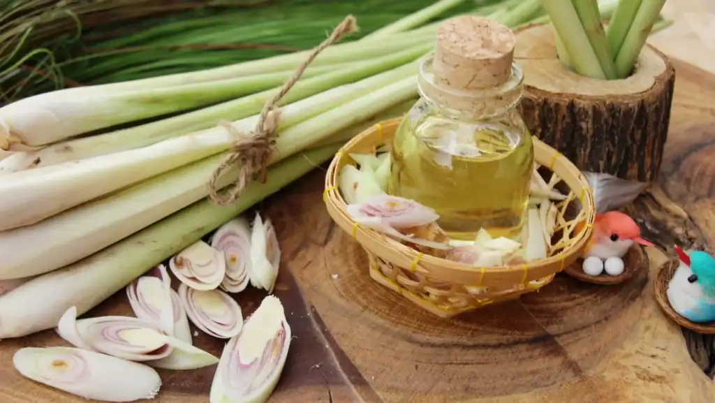 moustiques repulsif naturel 1