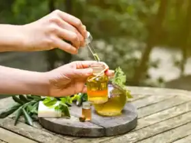 moustiques repulsif naturel