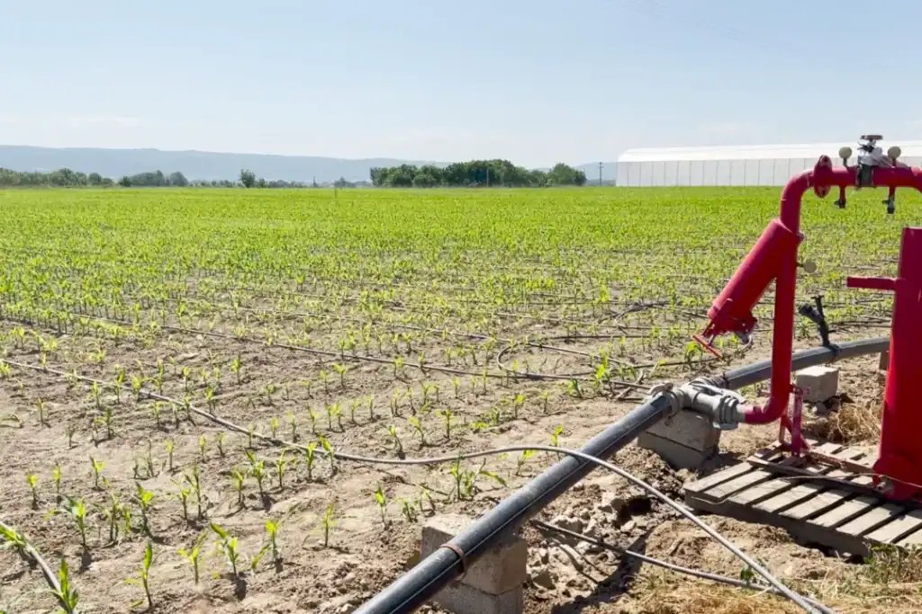 agri système avis