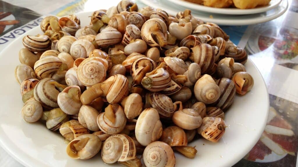 Escargots à la portugaise : la recette des caracóis et tout ce qu'il faut savoir 2 Escargots à la portugaise