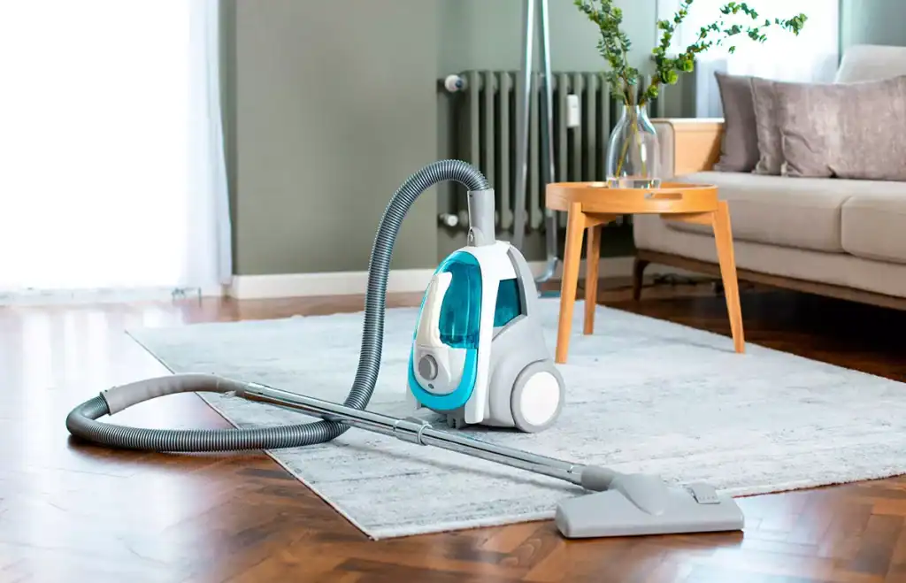 Aspirateur avec ou sans sac que choisir