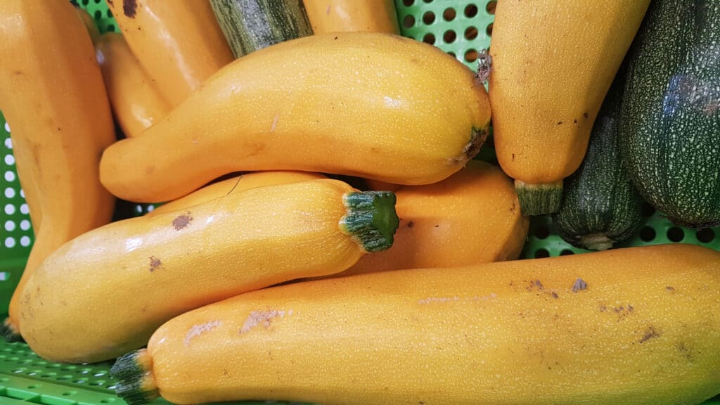 Courgette orange : variétés, causes et tout ce qu'il faut savoir avant de la manger 5 Courgette orange culture