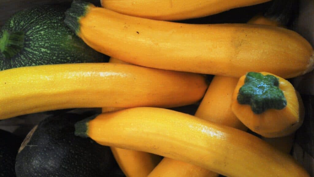 Courgette orange : recettes savoureuses et tout ce qu'il faut savoir 3 Courgette orange recette