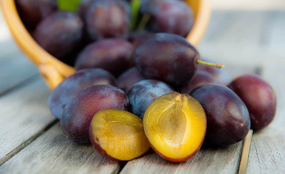 Prunes en bocaux sans eau : la méthode naturelle pour bien les conserver 2 Prunes en bocaux sans eau 1