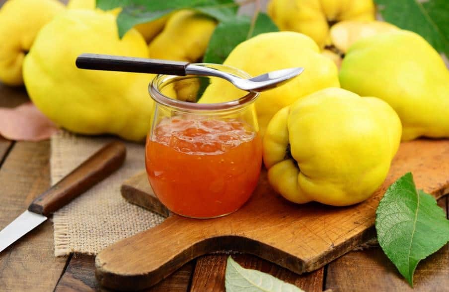 Extracteur de jus pour gelée de coing 2