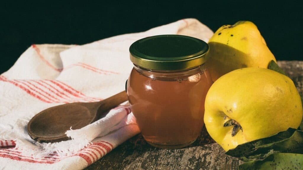 Extracteur de jus pour gelée de coing comment utiliser