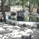 Ferme pédagogique de Simiane-Collongue