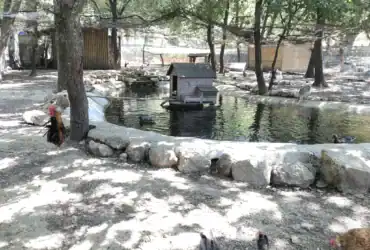 Ferme pédagogique de Simiane-Collongue