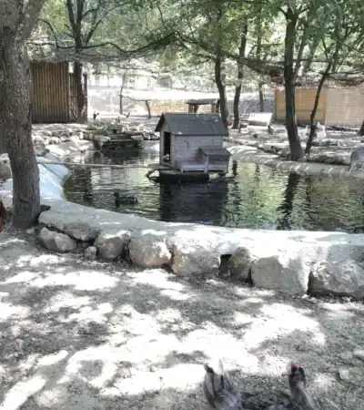 Ferme pédagogique de Simiane-Collongue