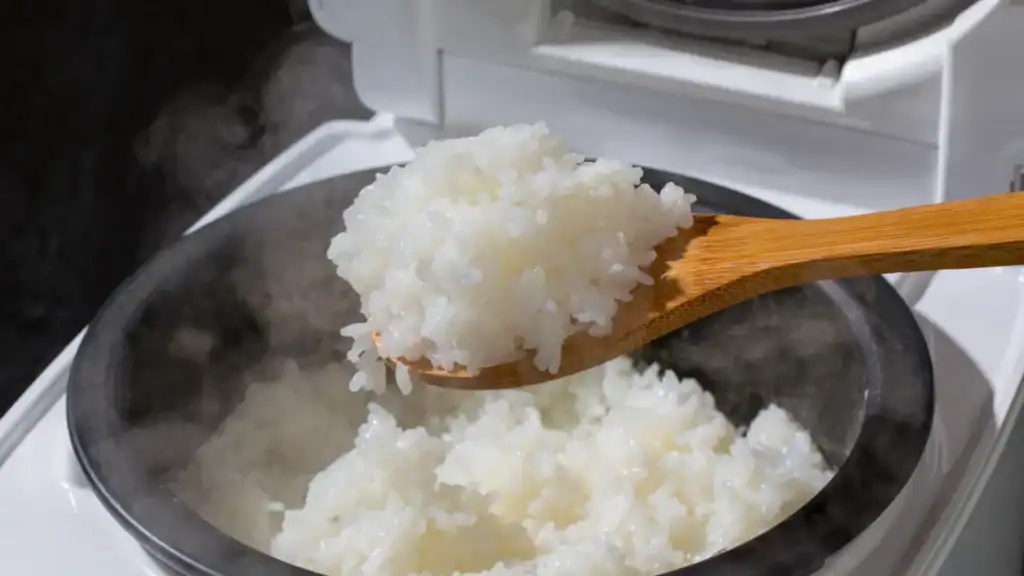 Riz gluant au rice cooker : cuisson, dosage et recettes réussies 3 Riz gluant au rice cooker cuisson