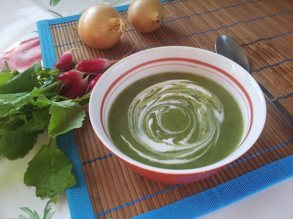Soupe de fanes de radis au Thermomix : toutes les variantes pour ne rien gaspiller 4 Soupe de fanes de radis recetteau Thermomix