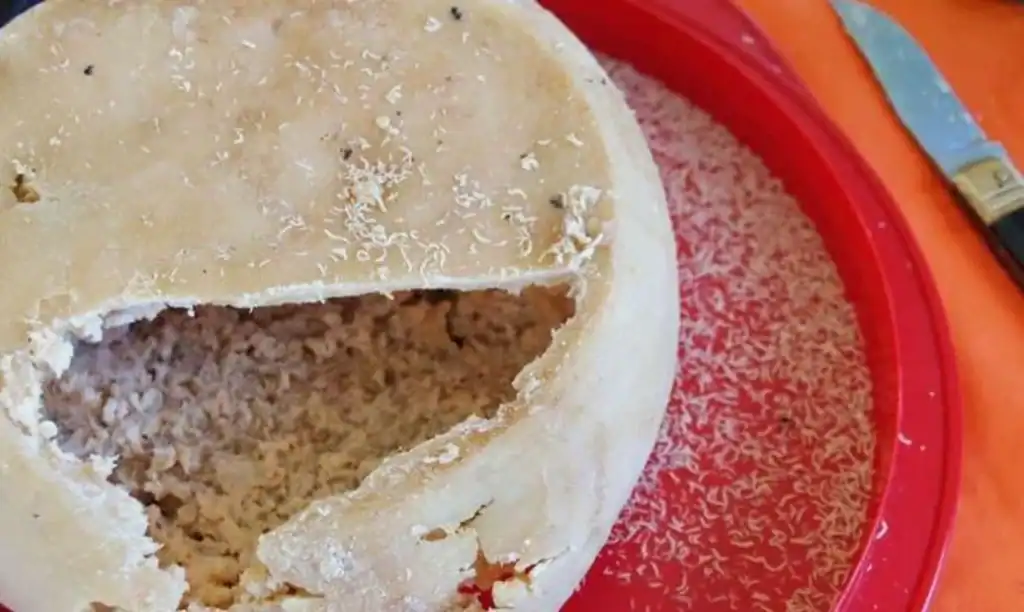 Fromages corses avec vers : ce qu'on sait vraiment sur le casgiu merzu 2 Fromages corses avec vers