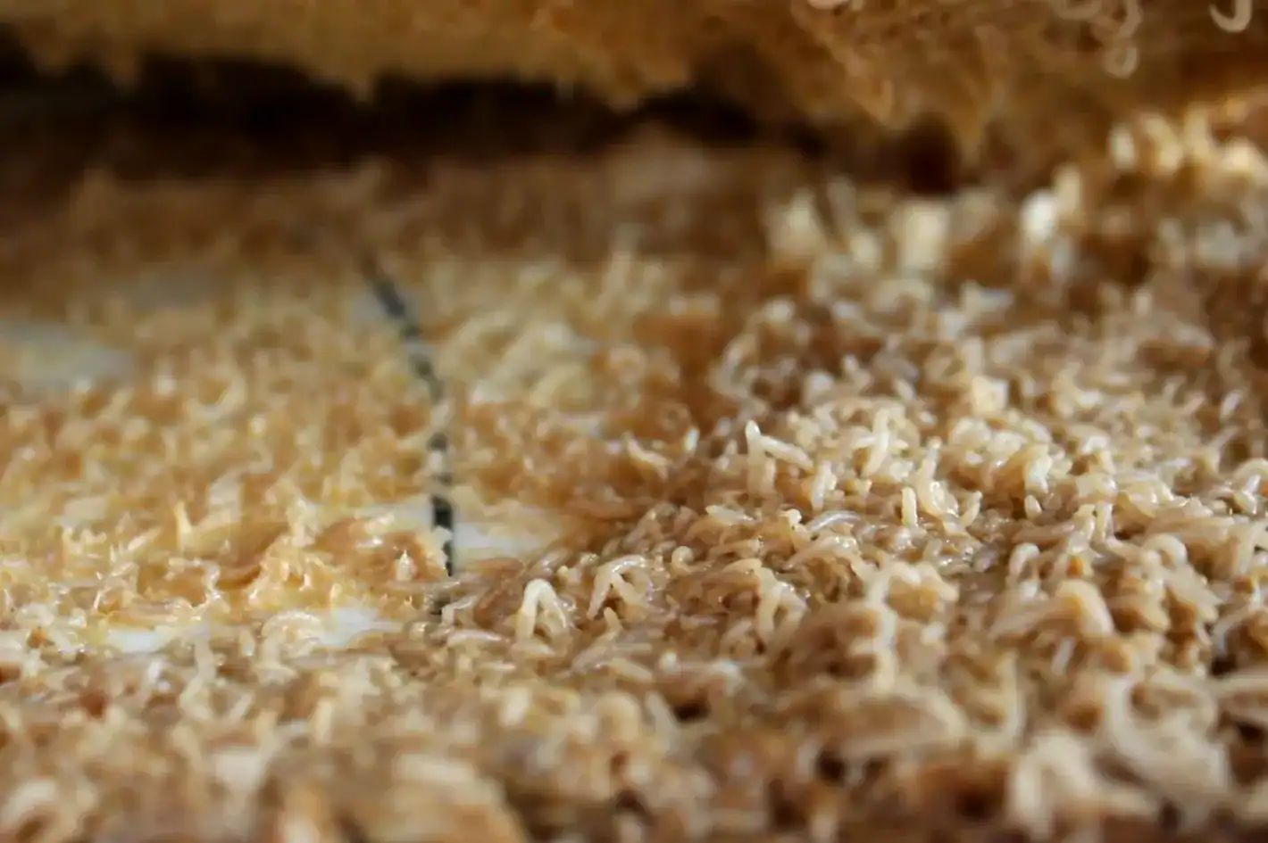 Fromages corses avec vers : ce qu'on sait vraiment sur le casgiu merzu 3 Fromages corses avec vers risques