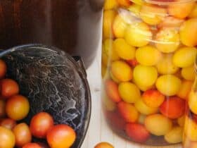 Mirabelles au sirop sans stérilisation