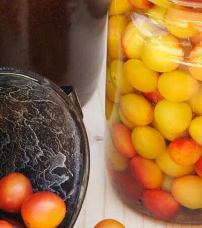 Mirabelles au sirop sans stérilisation