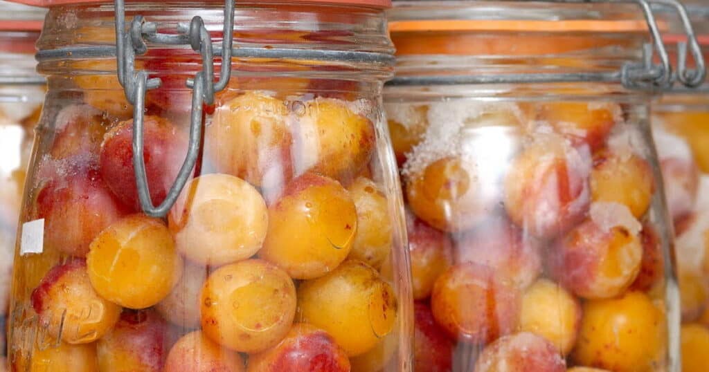 Mirabelles au sirop sans stérilisation avis