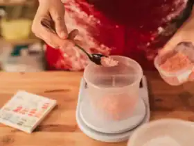 Utilisation du fond de veau en poudre