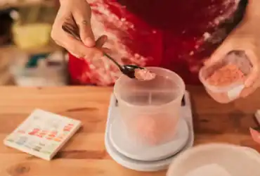 Utilisation du fond de veau en poudre