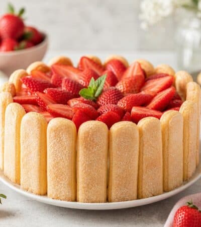 charlotte aux fraises crème pâtissière