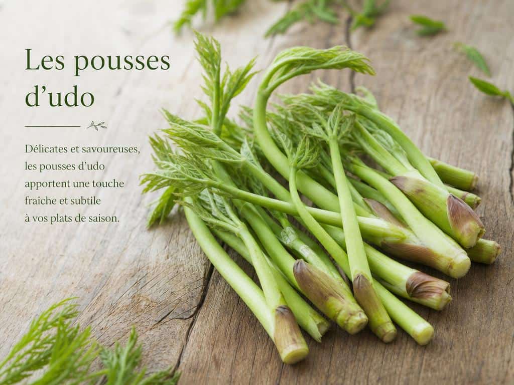 Légume et fruit en U : les aliments qui commencent par cette lettre rare 2 fruit en u francais