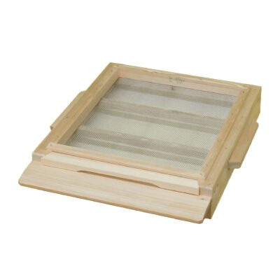 Dennica wielkopolska