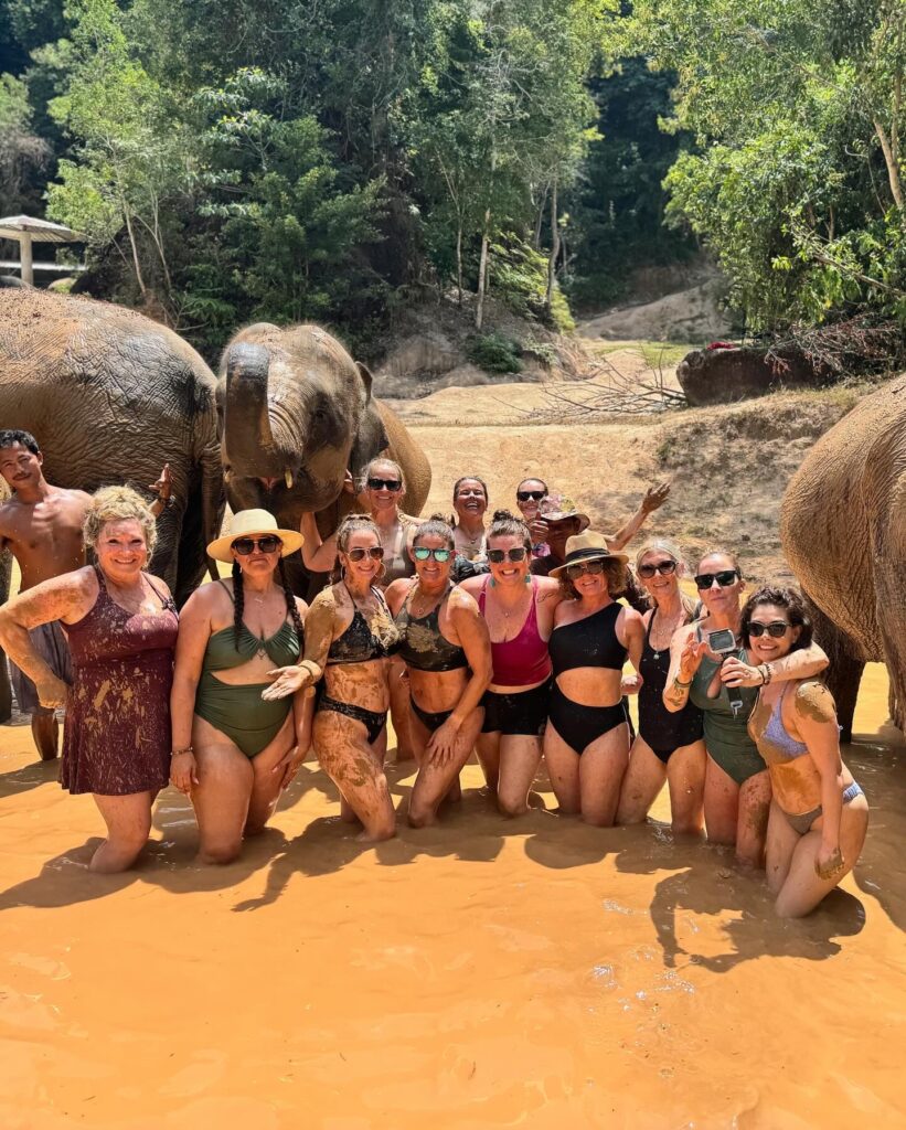 Group of people in swimwear standing in muddy water with elephants, surrounded by trees.