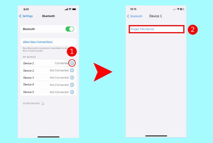 BMW Apple Carplay Not Connecting? (Don't Panic, Easy Fix!) 5 check for connected devices on iphone
