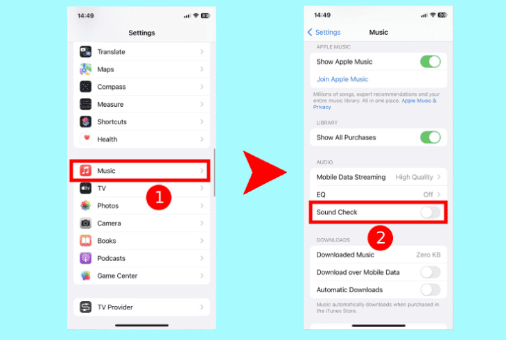 Apple CarPlay Music Volume Too Low? (Let's Fix It Fast) 4 disable the iphone sound check