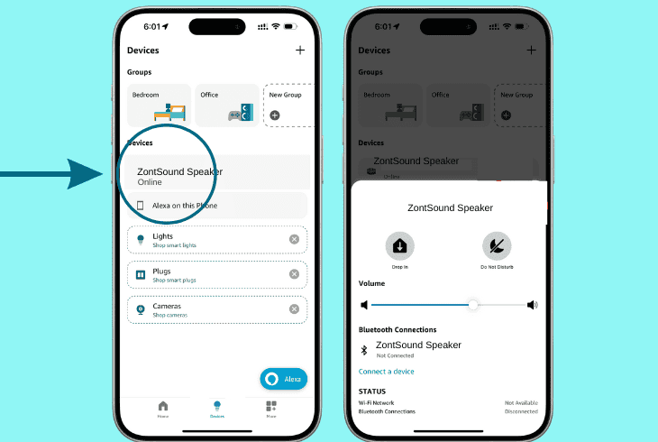 Ring Doorbell Not Ringing On Alexa? Discover the Quick Solutions! 8 verify the alexa speaker is online