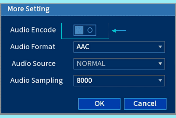 Lorex Camera Audio Not Working (Try These Simple Fixes!) 3 enable audio nvr series