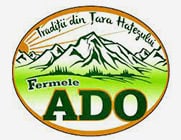 Fermere ADO logo featuring mountain landscape and green color scheme.