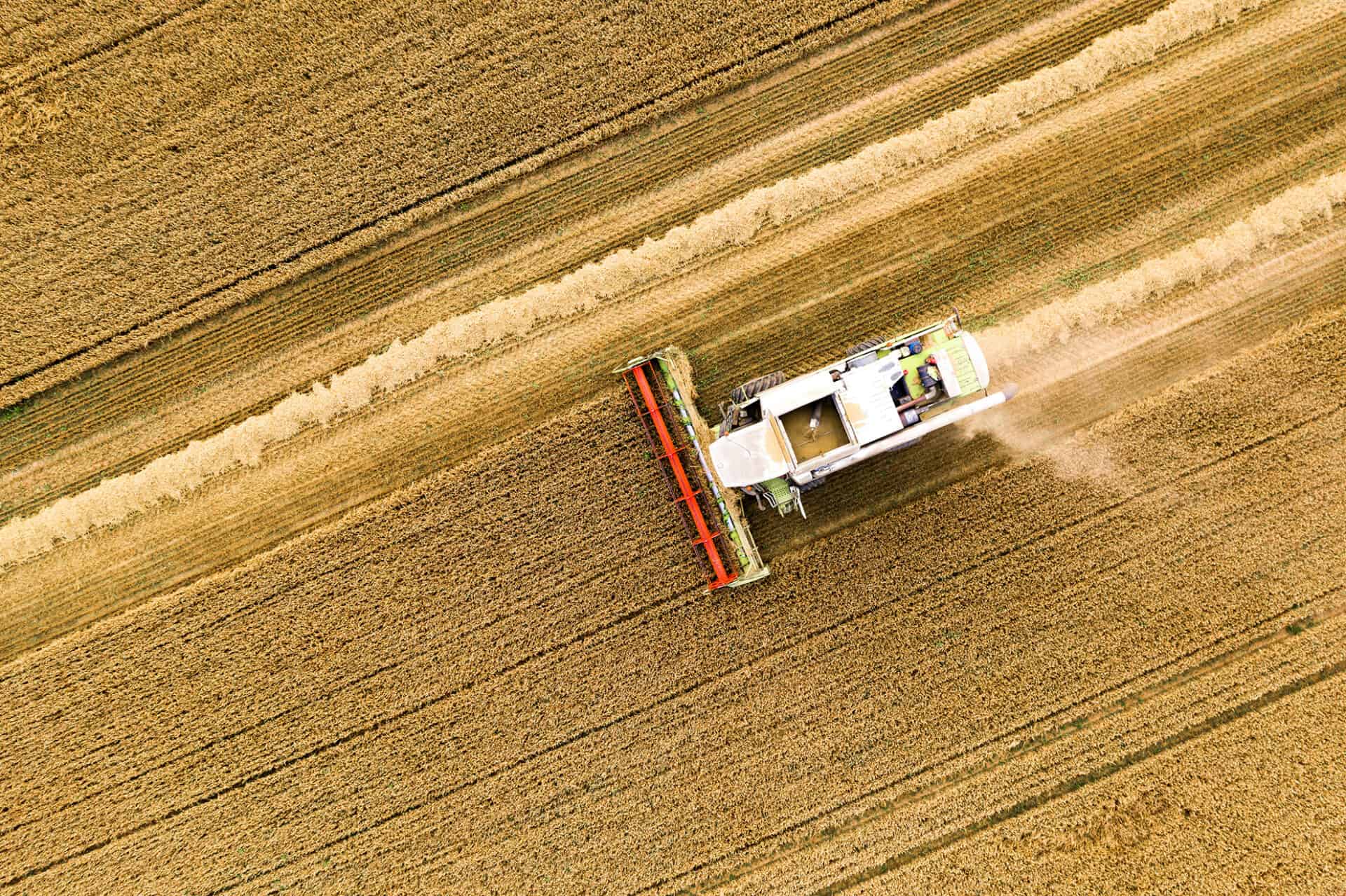 Vedere aeriană cu o combină agricolă care recoltează grâu.