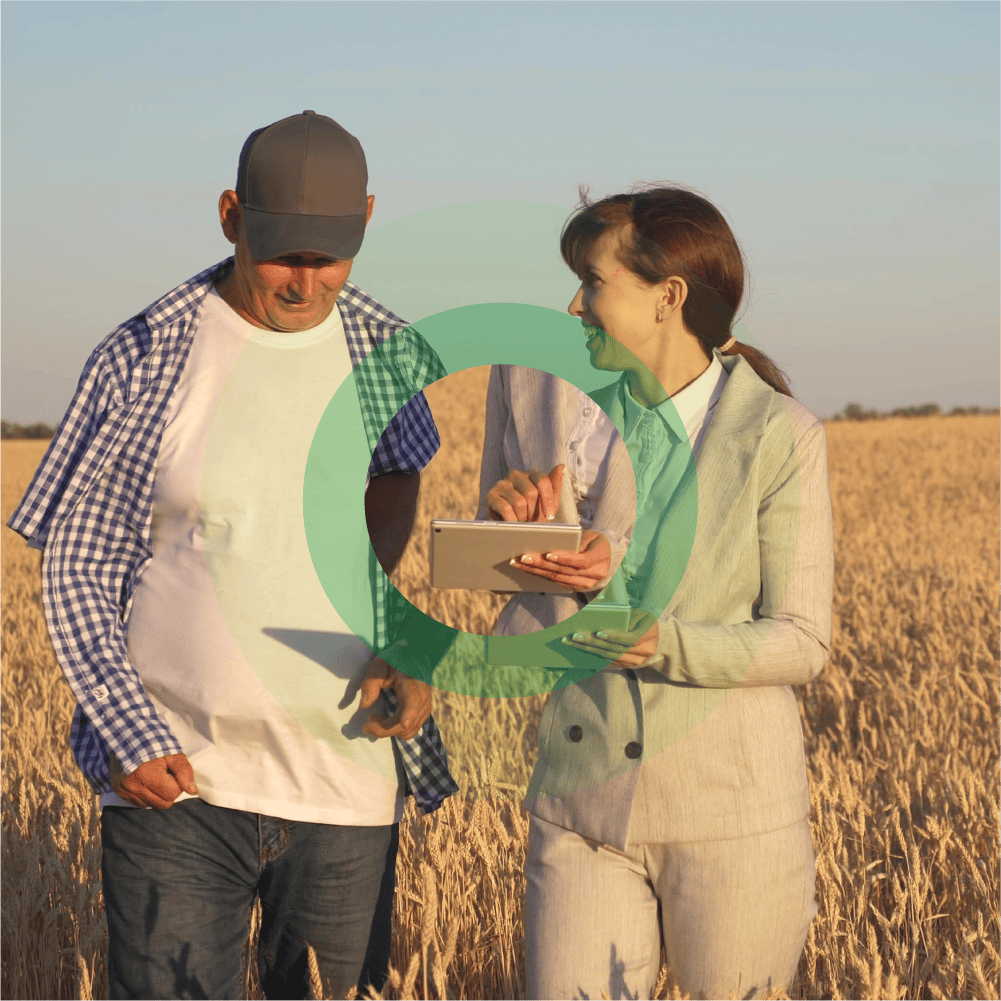 Farmer and agronomist discussing crop data using a tablet in a wheat field.