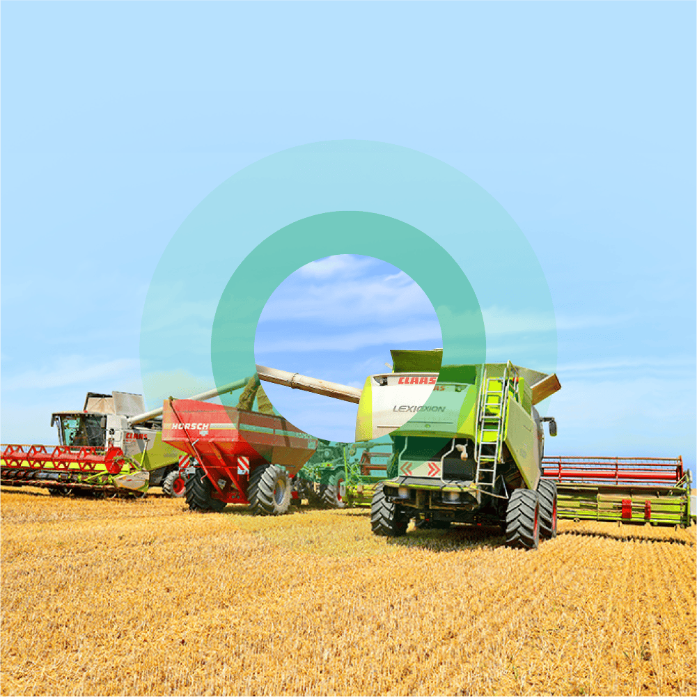 Agricultural harvesters working in a vast field under a clear blue sky.