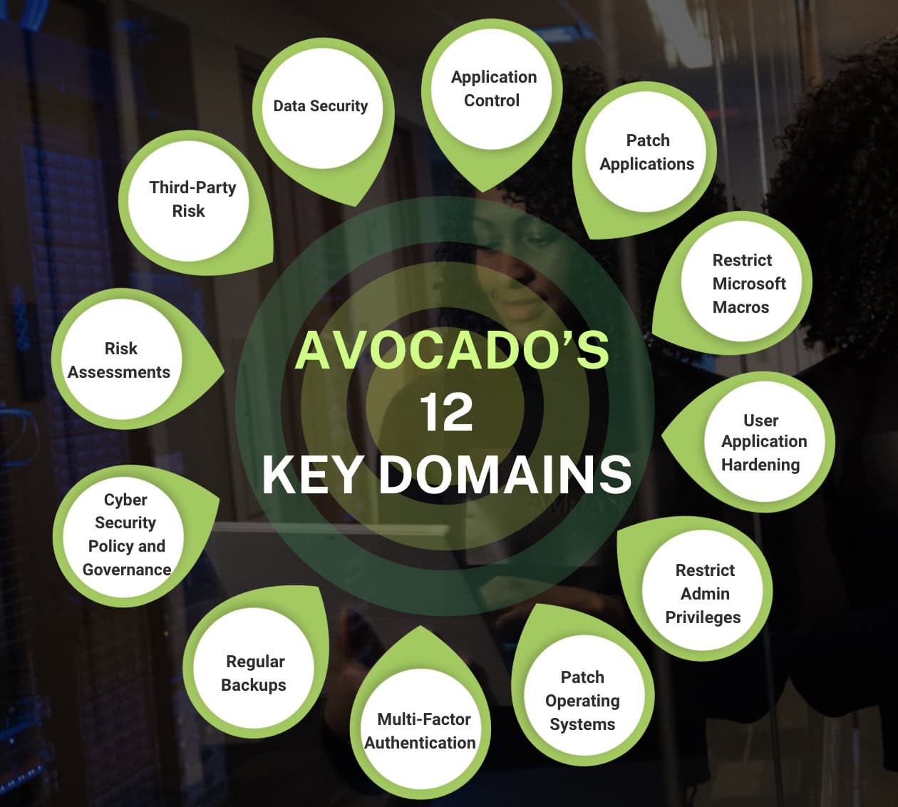 Cyber Maturity Self-Assessment, Avocado Consulting - deliver with certainty