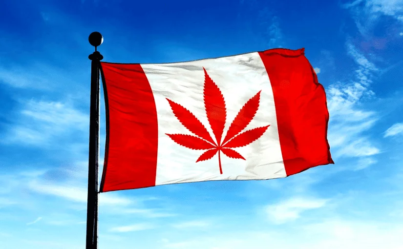 Good day ;-) WEED is LEGAL!!!
