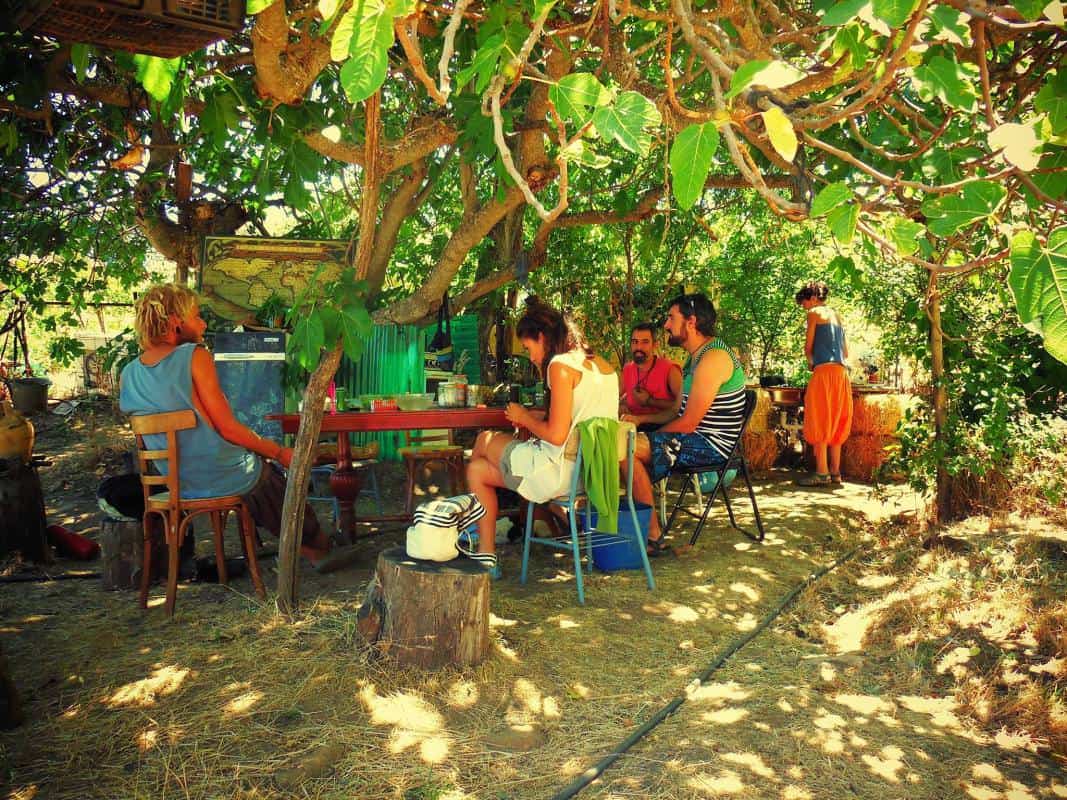People gathering outdoors in a lush, green ecovillage setting.
