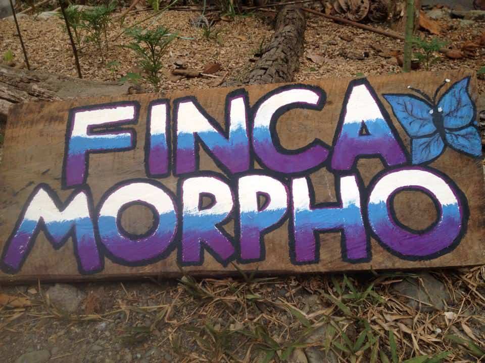 Graffiti-style sign reading 'Finca Morpho' with a butterfly illustration.