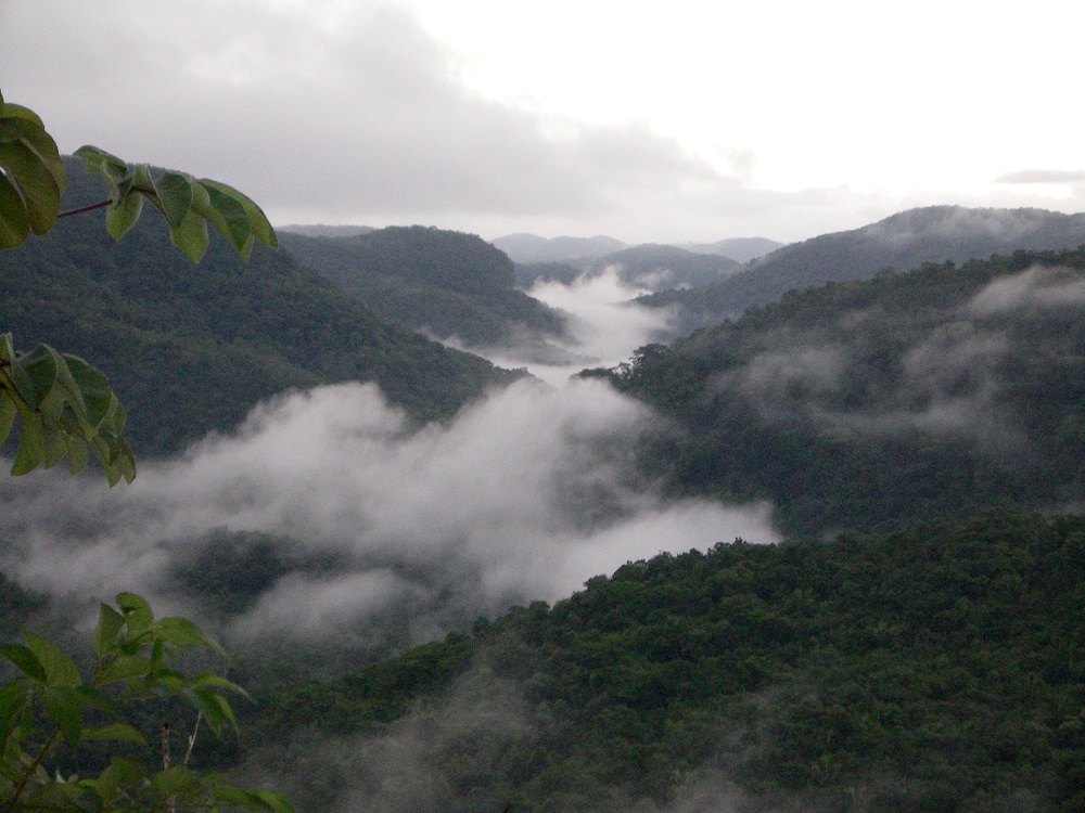 Belize-Eco-Community.jpg