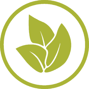 Ecovillage Network logo with green leaves inside a circle.