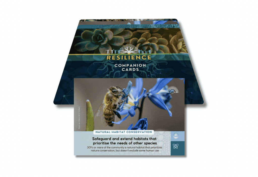 Ecovillage resilience cards featuring nature and sustainability themes.