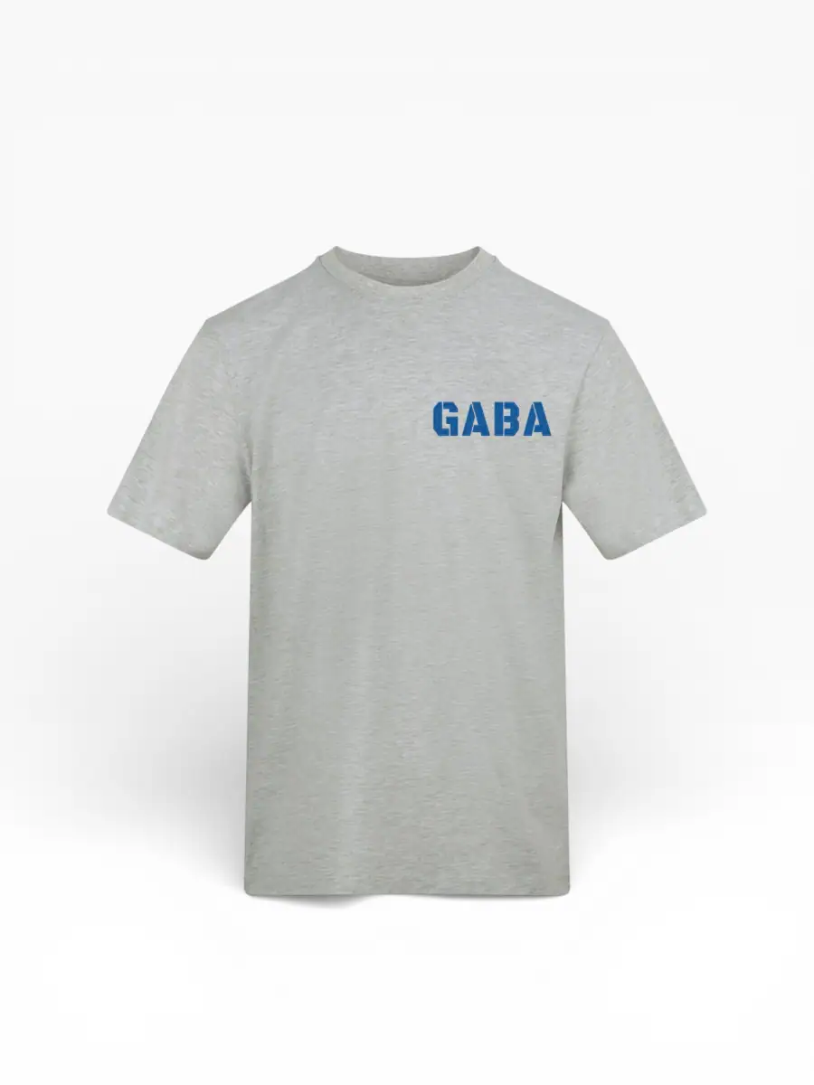Grey GABA branded T-shirt with bold blue logo on the front.